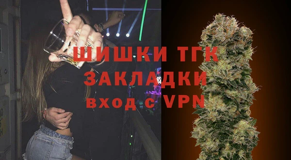 СК Алзамай