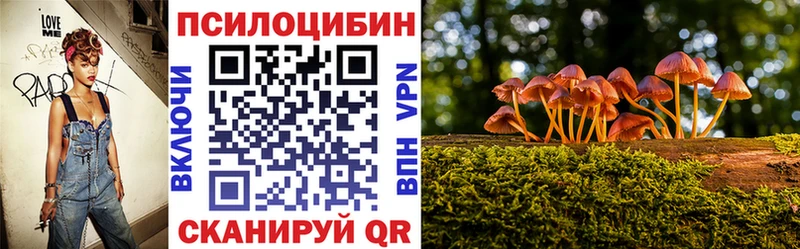 Псилоцибиновые грибы Cubensis Щигры